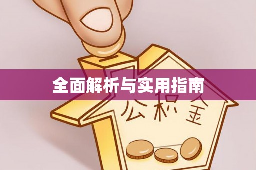 巴楚全面解析与实用指南