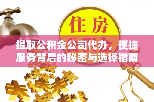 巴楚提取公积金公司代办，便捷服务背后的秘密与选择指南