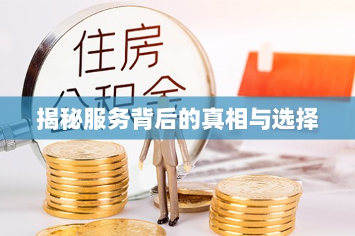 巴楚揭秘服务背后的真相与选择