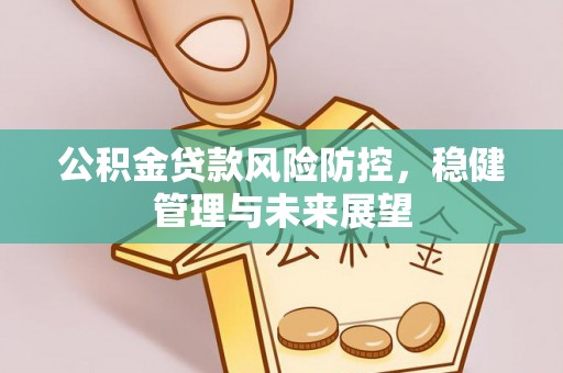 巴楚公积金贷款风险防控，稳健管理与未来展望