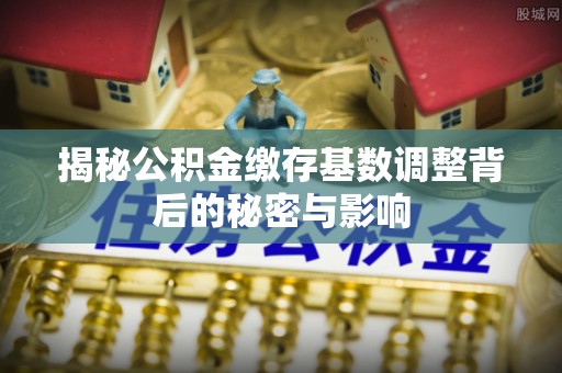 巴楚揭秘公积金缴存基数调整背后的秘密与影响