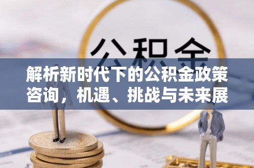 巴楚解析新时代下的公积金政策咨询，机遇、挑战与未来展望