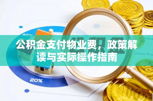 巴楚公积金支付物业费，政策解读与实际操作指南