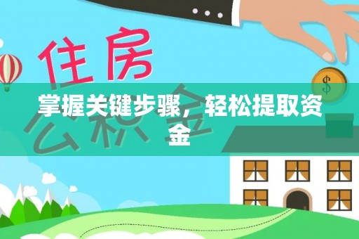 巴楚掌握关键步骤，轻松提取资金