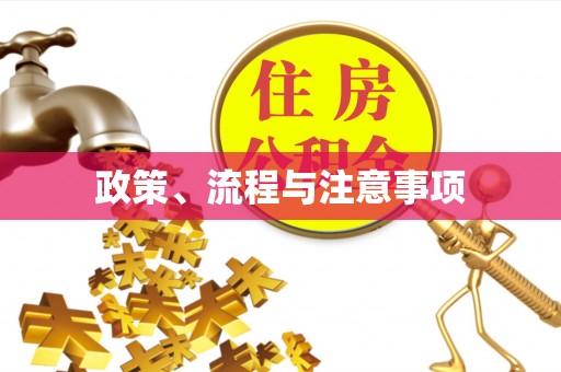巴楚政策、流程与注意事项