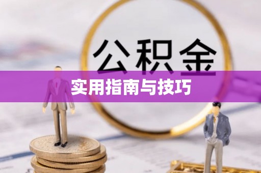 巴楚实用指南与技巧