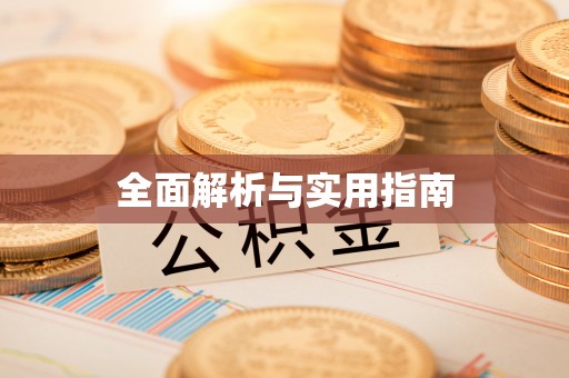 巴楚全面解析与实用指南