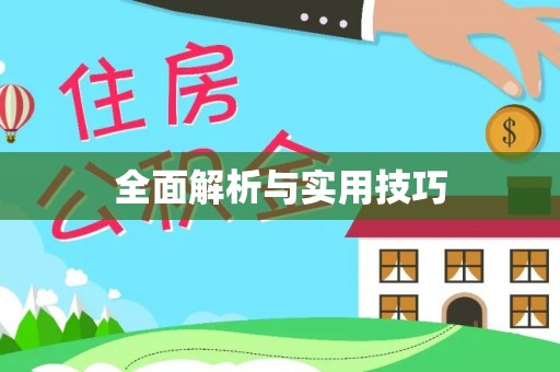 巴楚全面解析与实用技巧