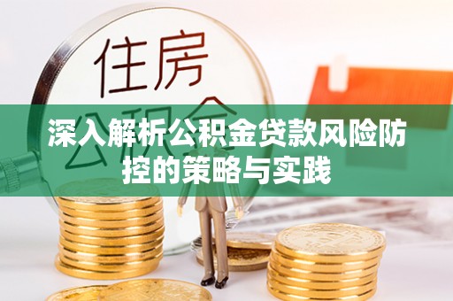 巴楚深入解析公积金贷款风险防控的策略与实践
