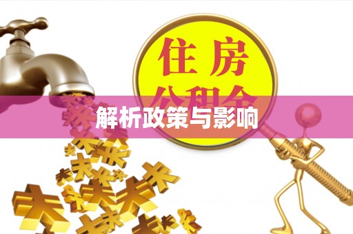 巴楚解析政策与影响