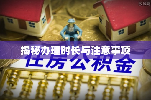 巴楚揭秘办理时长与注意事项