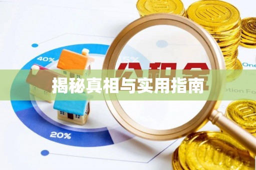 巴楚揭秘真相与实用指南