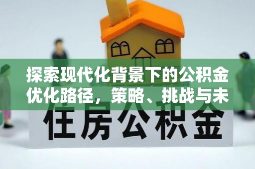 巴楚探索现代化背景下的公积金优化路径，策略、挑战与未来展望