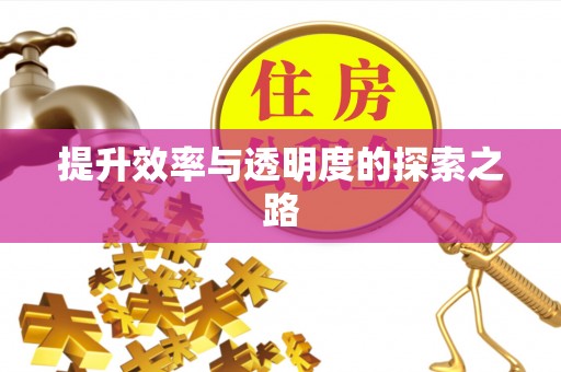 巴楚提升效率与透明度的探索之路