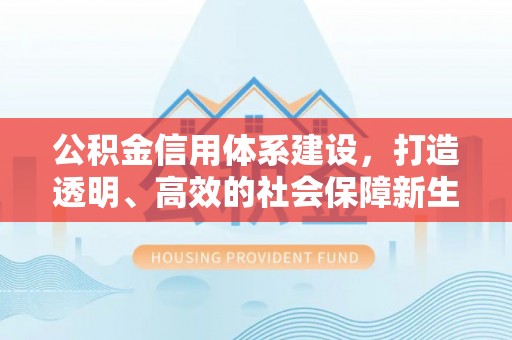 巴楚公积金信用体系建设，打造透明、高效的社会保障新生态