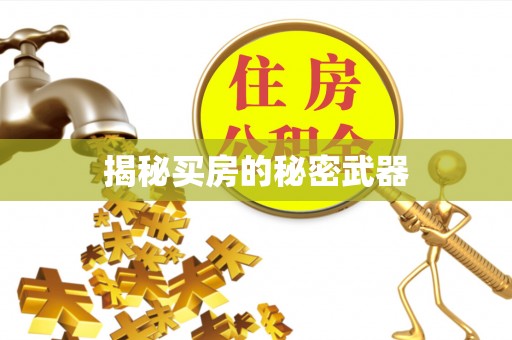 巴楚揭秘买房的秘密武器