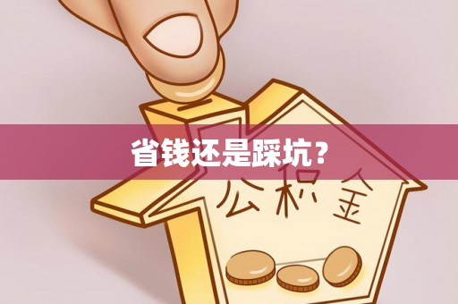 巴楚省钱还是踩坑？