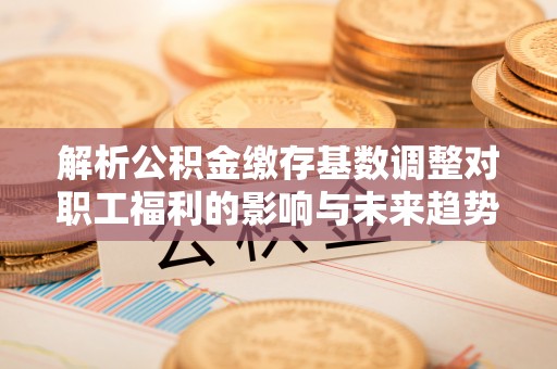 巴楚解析公积金缴存基数调整对职工福利的影响与未来趋势
