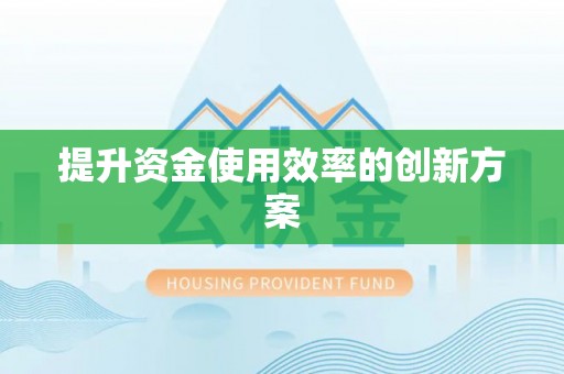 巴楚提升资金使用效率的创新方案