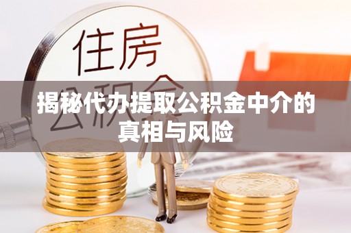 巴楚揭秘代办提取公积金中介的真相与风险