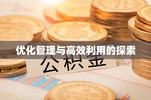 巴楚优化管理与高效利用的探索