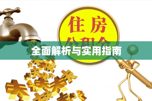 巴楚全面解析与实用指南