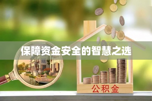 巴楚保障资金安全的智慧之选