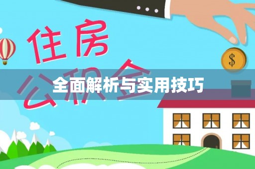 巴楚全面解析与实用技巧