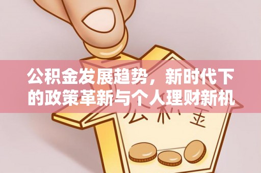 巴楚公积金发展趋势，新时代下的政策革新与个人理财新机遇