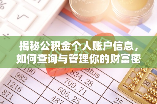 巴楚揭秘公积金个人账户信息，如何查询与管理你的财富密码