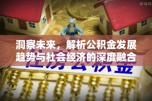巴楚洞察未来，解析公积金发展趋势与社会经济的深度融合