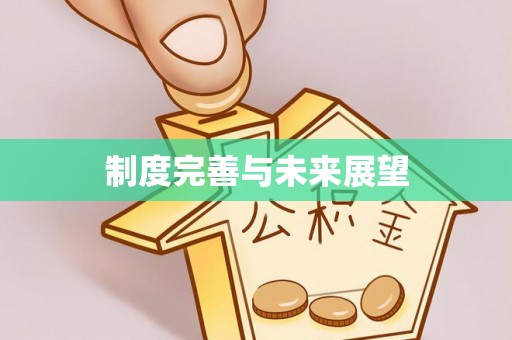 巴楚制度完善与未来展望