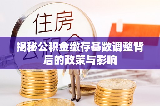 巴楚揭秘公积金缴存基数调整背后的政策与影响