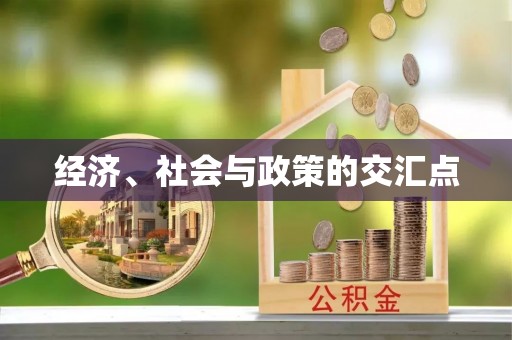 巴楚经济、社会与政策的交汇点