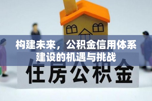 巴楚构建未来，公积金信用体系建设的机遇与挑战