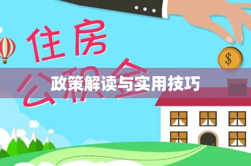 巴楚政策解读与实用技巧