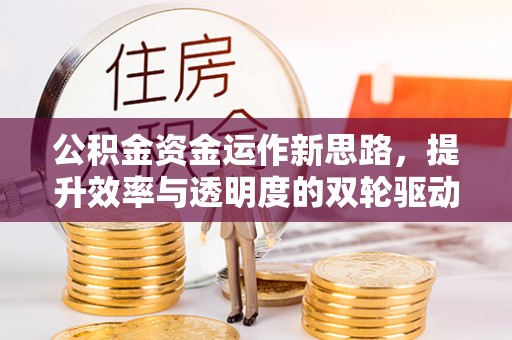 巴楚公积金资金运作新思路，提升效率与透明度的双轮驱动