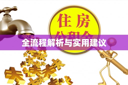 巴楚全流程解析与实用建议