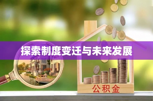 巴楚探索制度变迁与未来发展