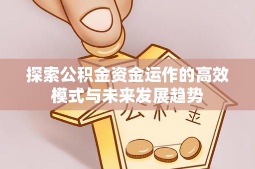 巴楚探索公积金资金运作的高效模式与未来发展趋势