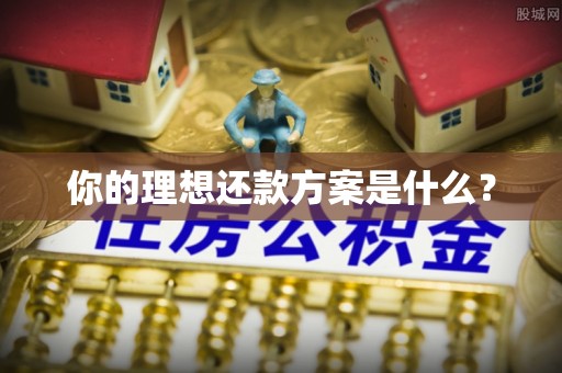 巴楚你的理想还款方案是什么？