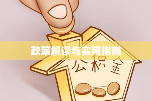巴楚政策解读与实用指南
