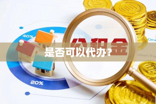 巴楚是否可以代办？