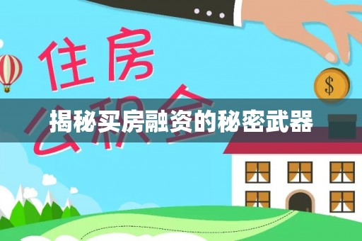 巴楚揭秘买房融资的秘密武器