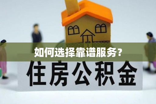 巴楚如何选择靠谱服务？