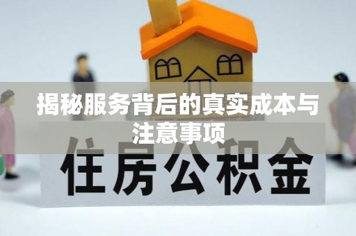 巴楚揭秘服务背后的真实成本与注意事项