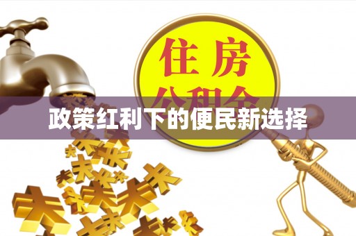 巴楚政策红利下的便民新选择
