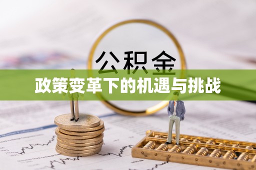 巴楚政策变革下的机遇与挑战