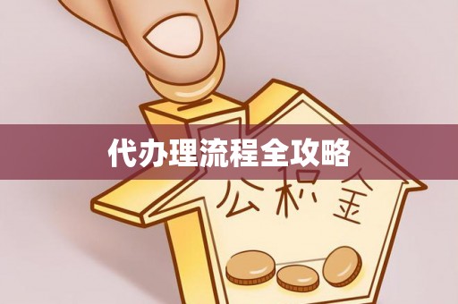 巴楚代办理流程全攻略