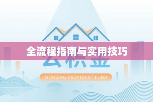 巴楚全流程指南与实用技巧